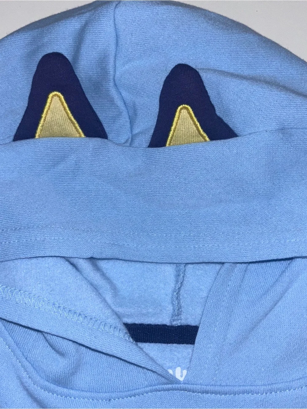 Bluey Matching Sweatshirt Hoodie & Sweat Pants Joggers Set 5T